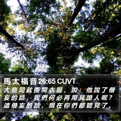 馬 太 福 音 26:65 CUVT Bible Verse Image