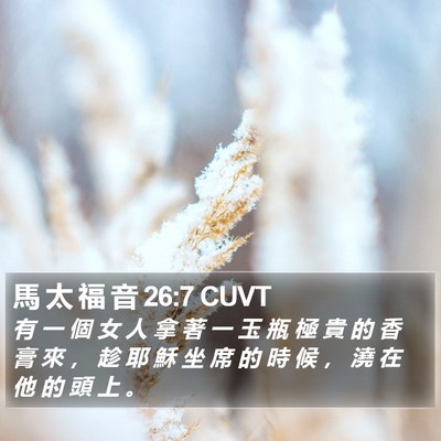 馬 太 福 音 26:7 CUVT Bible Verse Image
