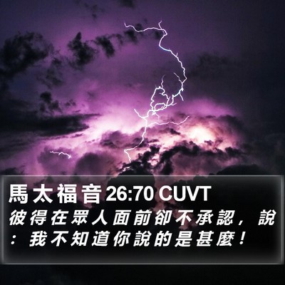 馬 太 福 音 26:70 CUVT Bible Verse Image