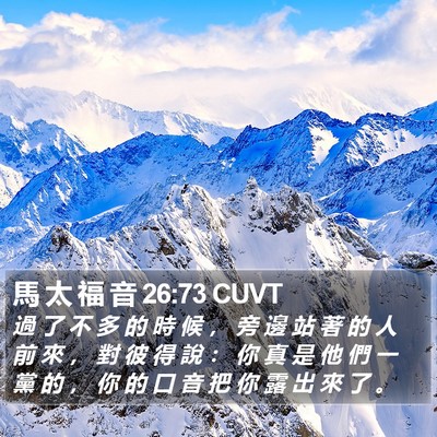 馬 太 福 音 26:73 CUVT Bible Verse Image