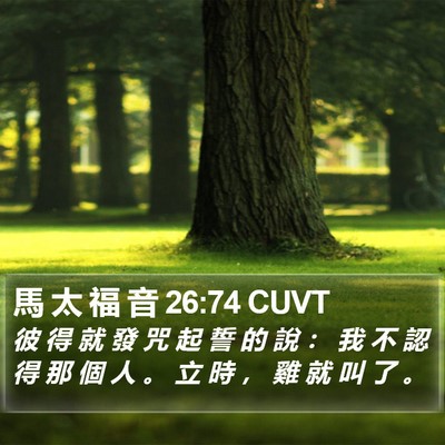 馬 太 福 音 26:74 CUVT Bible Verse Image