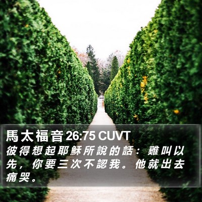 馬 太 福 音 26:75 CUVT Bible Verse Image