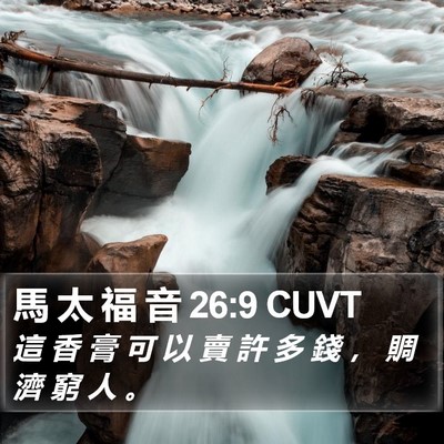 馬 太 福 音 26:9 CUVT Bible Verse Image