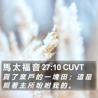 馬 太 福 音 27:10 CUVT Bible Verse Image