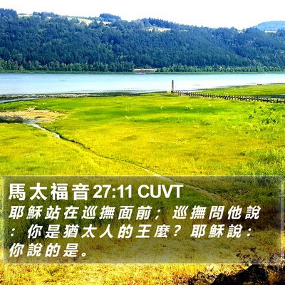 馬 太 福 音 27:11 CUVT Bible Verse Image