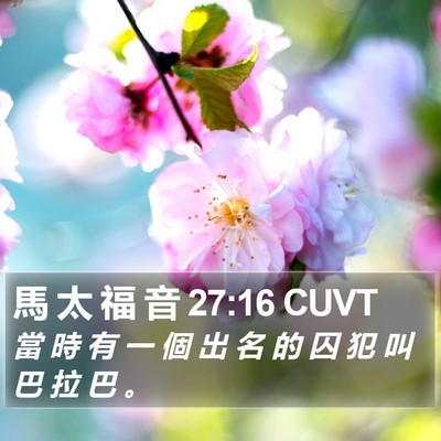 馬 太 福 音 27:16 CUVT Bible Verse Image