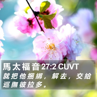 馬 太 福 音 27:2 CUVT Bible Verse Image