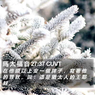 馬 太 福 音 27:37 CUVT Bible Verse Image