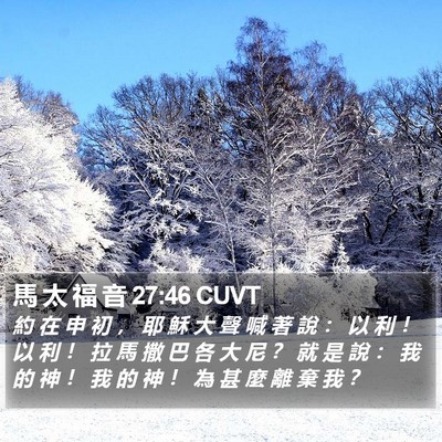 馬 太 福 音 27:46 CUVT Bible Verse Image