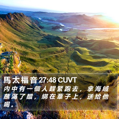 馬 太 福 音 27:48 CUVT Bible Verse Image