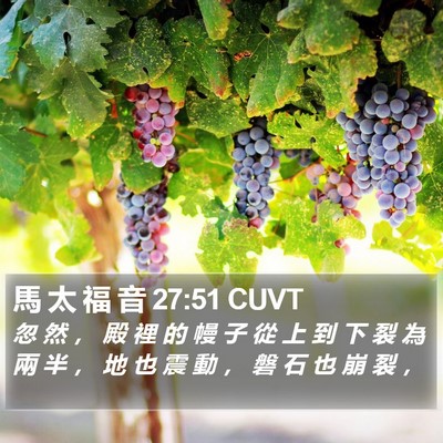 馬 太 福 音 27:51 CUVT Bible Verse Image