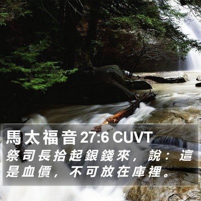 馬 太 福 音 27:6 CUVT Bible Verse Image