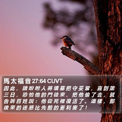 馬 太 福 音 27:64 CUVT Bible Verse Image
