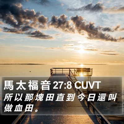 馬 太 福 音 27:8 CUVT Bible Verse Image