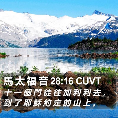 馬 太 福 音 28:16 CUVT Bible Verse Image