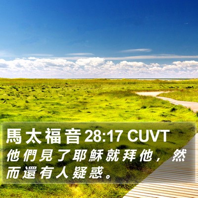 馬 太 福 音 28:17 CUVT Bible Verse Image