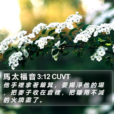 馬 太 福 音 3:12 CUVT Bible Verse Image