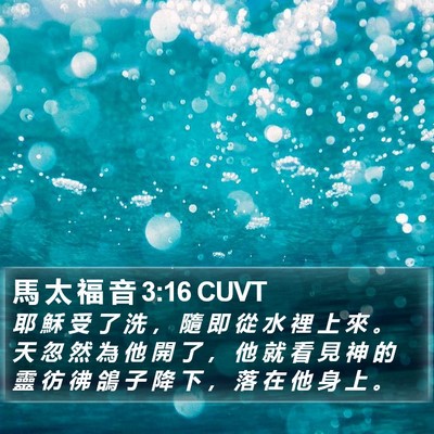 馬 太 福 音 3:16 CUVT Bible Verse Image