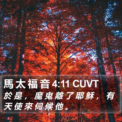 馬 太 福 音 4:11 CUVT Bible Verse Image