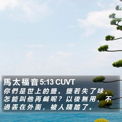 馬 太 福 音 5:13 CUVT Bible Verse Image