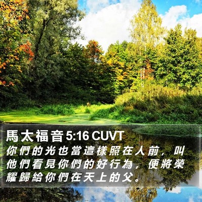 馬 太 福 音 5:16 CUVT Bible Verse Image