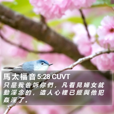 馬 太 福 音 5:28 CUVT Bible Verse Image