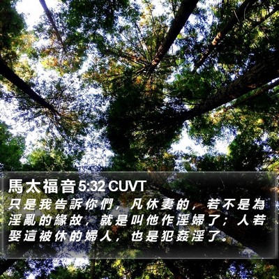 馬 太 福 音 5:32 CUVT Bible Verse Image