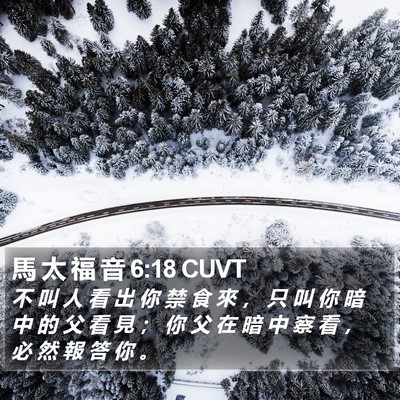 馬 太 福 音 6:18 CUVT Bible Verse Image