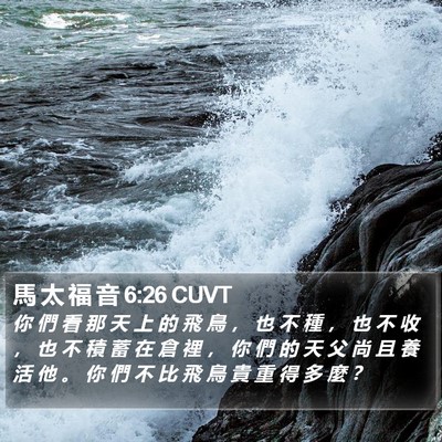 馬 太 福 音 6:26 CUVT Bible Verse Image