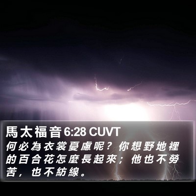馬 太 福 音 6:28 CUVT Bible Verse Image