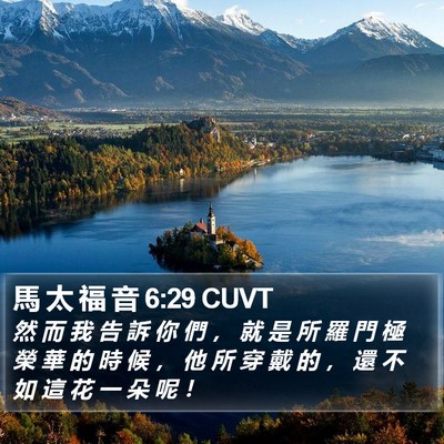 馬 太 福 音 6:29 CUVT Bible Verse Image