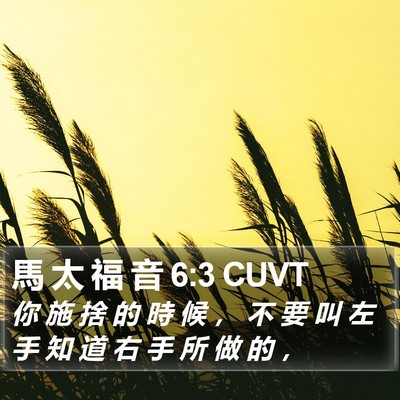 馬 太 福 音 6:3 CUVT Bible Verse Image