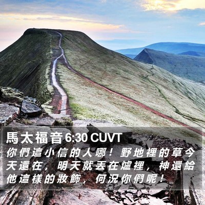 馬 太 福 音 6:30 CUVT Bible Verse Image