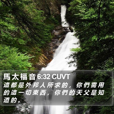 馬 太 福 音 6:32 CUVT Bible Verse Image