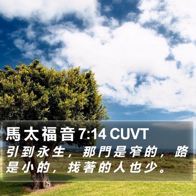 馬 太 福 音 7:14 CUVT Bible Verse Image