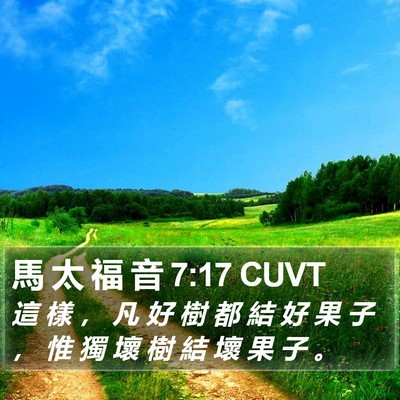 馬 太 福 音 7:17 CUVT Bible Verse Image