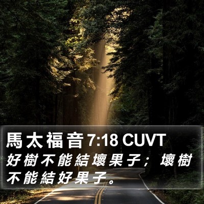 馬 太 福 音 7:18 CUVT Bible Verse Image