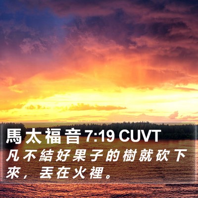 馬 太 福 音 7:19 CUVT Bible Verse Image