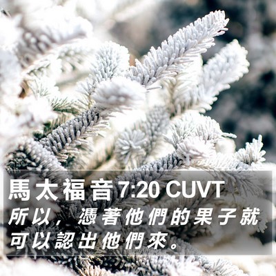 馬 太 福 音 7:20 CUVT Bible Verse Image