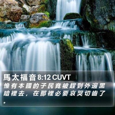 馬 太 福 音 8:12 CUVT Bible Verse Image