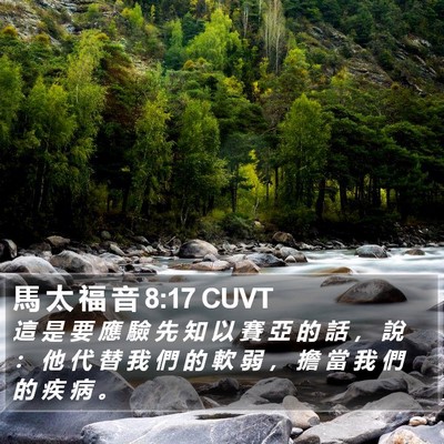 馬 太 福 音 8:17 CUVT Bible Verse Image