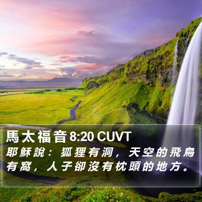 馬 太 福 音 8:20 CUVT Bible Verse Image
