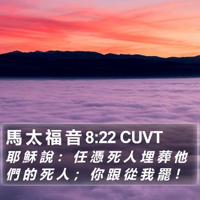 馬 太 福 音 8:22 CUVT Bible Verse Image