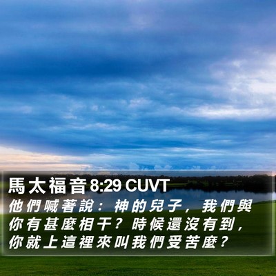 馬 太 福 音 8:29 CUVT Bible Verse Image