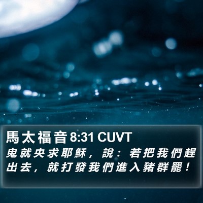 馬 太 福 音 8:31 CUVT Bible Verse Image