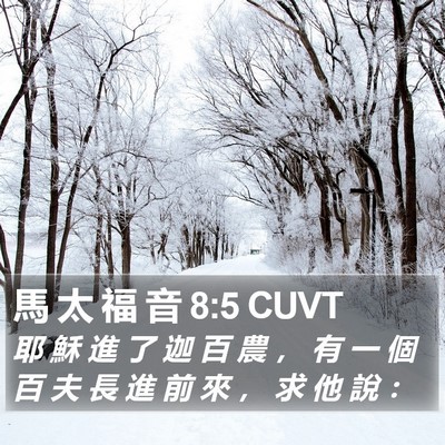 馬 太 福 音 8:5 CUVT Bible Verse Image