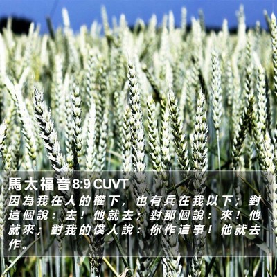 馬 太 福 音 8:9 CUVT Bible Verse Image