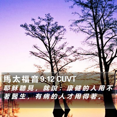 馬 太 福 音 9:12 CUVT Bible Verse Image