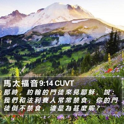 馬 太 福 音 9:14 CUVT Bible Verse Image