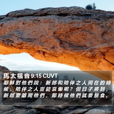 馬 太 福 音 9:15 CUVT Bible Verse Image